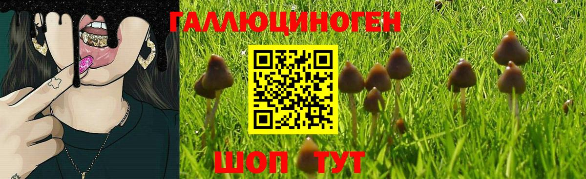 Галлюциногенные грибы мицелий  Вход с VPN  Псилоцибиновые грибы Psilocybine cubensis  где можно купить наркотик  Долгопрудный 