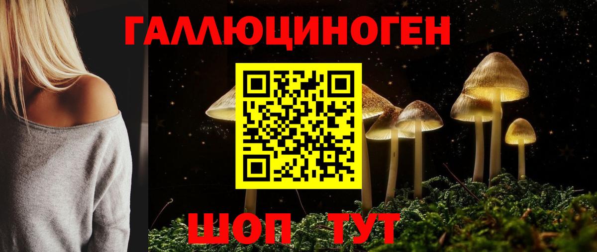 Псилоцибиновые грибы MAGIC MUSHROOMS Долгопрудный