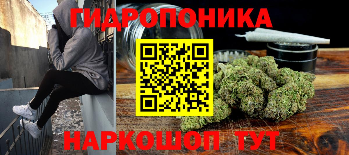 Каннабис SATIVA & INDICA  Каннабис THC 21%  Долгопрудный  Шишки марихуана план  Вход с VPN 